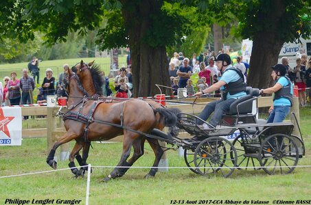 2017-08 CCA Valasse Poneys, 13-DSC_1644