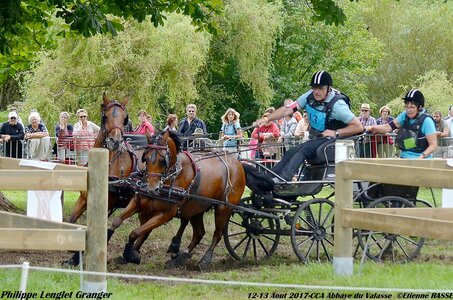 2017-08 CCA Valasse Poneys, 13-DSC_1646