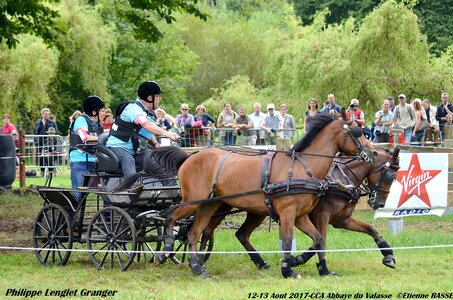 2017-08 CCA Valasse Poneys, 13-DSC_1648