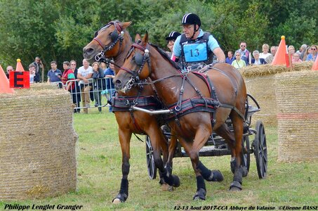2017-08 CCA Valasse Poneys, 13-DSC_1707