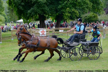 2017-08 CCA Valasse Poneys, 13-DSC_1712