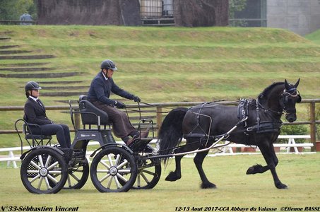 2017-08 CCA Valasse Jeunes chevaux, 33-DSC_9294