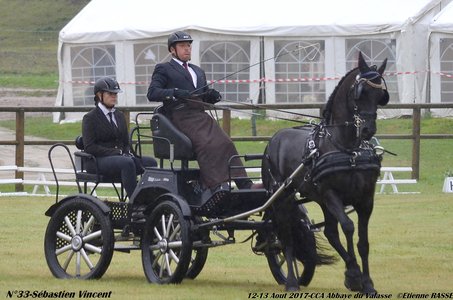 2017-08 CCA Valasse Jeunes chevaux, 33-DSC_9297