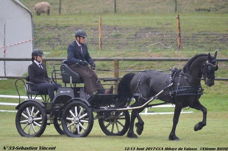 2017-08 CCA Valasse Jeunes chevaux, 33-DSC_9299