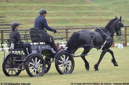 2017-08 CCA Valasse Jeunes chevaux, 33-DSC_9300