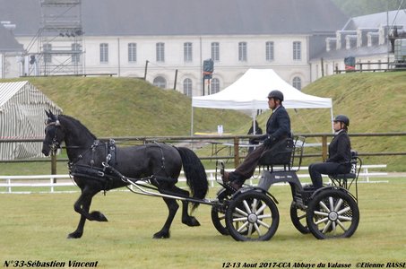 2017-08 CCA Valasse Jeunes chevaux, 33-DSC_9301