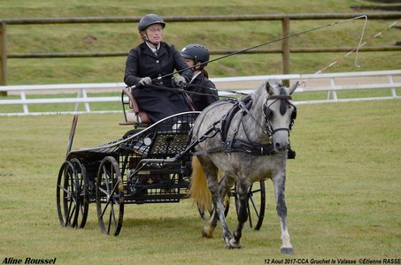 2017-08 CCA Valasse Jeunes chevaux, 34-DSC_9574
