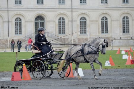 2017-08 CCA Valasse Jeunes chevaux, 34-DSC_9604