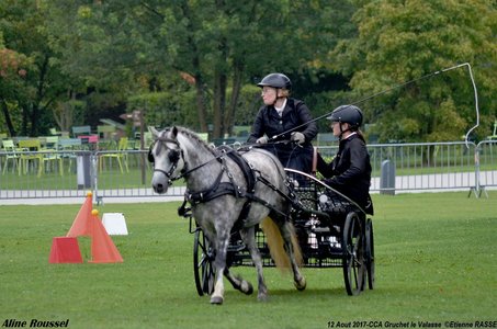 2017-08 CCA Valasse Jeunes chevaux, 34-DSC_9610