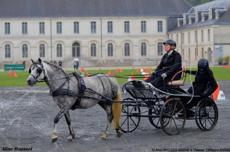 2017-08 CCA Valasse Jeunes chevaux, 34-DSC_9617