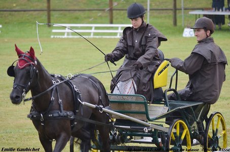 2017-08 CCA Valasse Jeunes chevaux, 35-DSC_9308