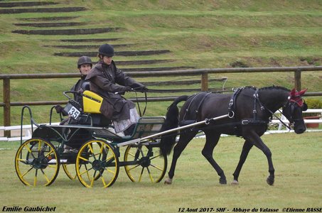 2017-08 CCA Valasse Jeunes chevaux, 35-DSC_9309