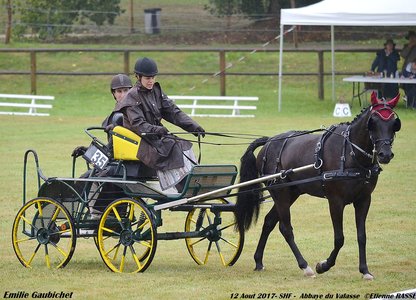2017-08 CCA Valasse Jeunes chevaux, 35-DSC_9312