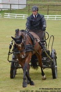 2017-08 CCA Valasse Jeunes chevaux, 36-DSC_9527