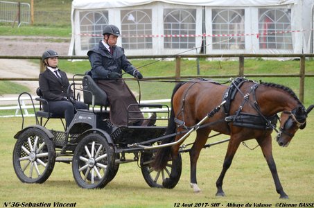 2017-08 CCA Valasse Jeunes chevaux, 36DSC_9534