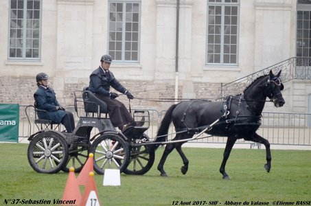 2017-08 CCA Valasse Jeunes chevaux, 37-DSC_9663