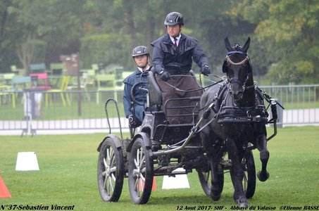 2017-08 CCA Valasse Jeunes chevaux, 37-DSC_9668