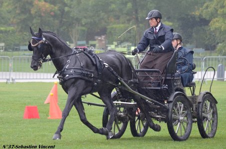 2017-08 CCA Valasse Jeunes chevaux, 37-DSC_9669