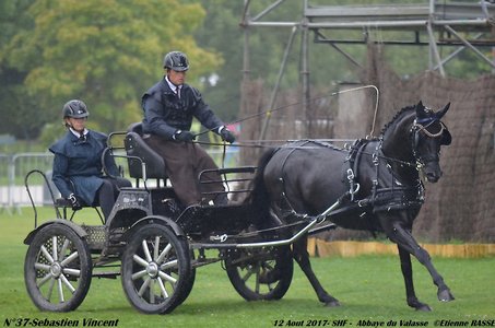 2017-08 CCA Valasse Jeunes chevaux, 37-DSC_9675