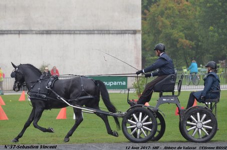 2017-08 CCA Valasse Jeunes chevaux, 37-DSC_9676