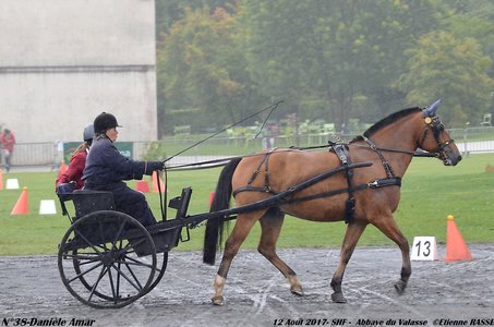 2017-08 CCA Valasse Jeunes chevaux, 38-DSC_9703