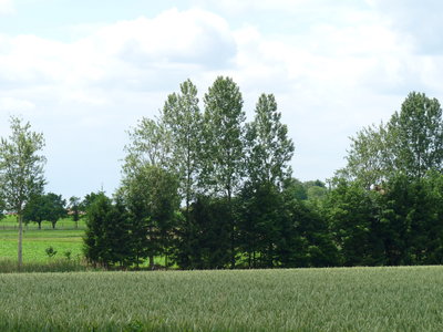 fête de notre amap, 053