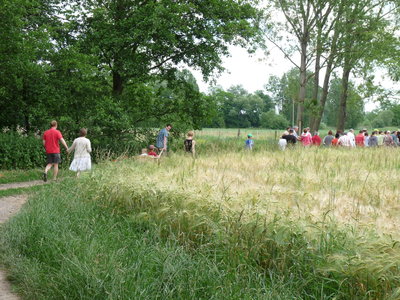 fête de notre amap, 096