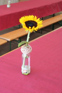 fête de notre amap, IMG_4348