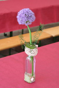 fête de notre amap, IMG_4349