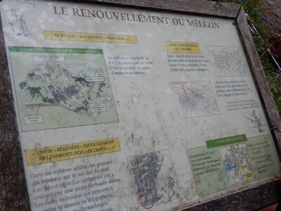 les crots, DSCN1648