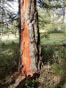 les crots, DSCN1663