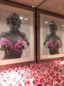 Paris, IMG_1425