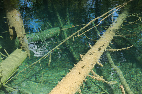 Hrvatska-154, IMGP0871_Plitvice