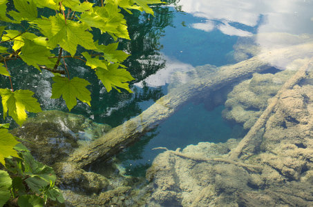 Hrvatska-154, IMGP0962_Plitvice