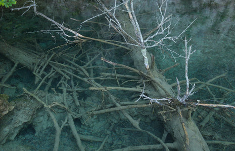 Hrvatska-154, IMGP0984_Plitvice