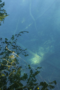 Hrvatska-154, IMGP0990_Plitvice