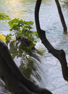 Hrvatska-154, IMGP1217_Plitvice