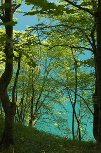 Hrvatska-154, IMGP1259_Plitvice