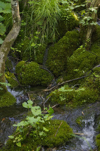 Hrvatska-154, IMGP1348_Plitvice-1
