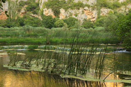 Hrvatska-154, IMGP1660_Krka