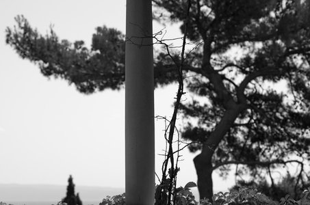 Hrvatska-154, IMGP1846_Split
