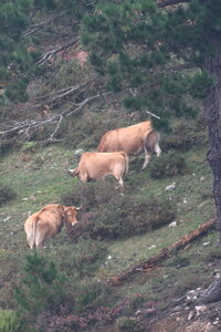 Cote Nord Espagne Septembre 2017, IMG_7880