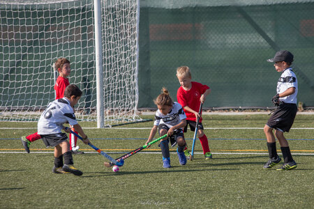 Hockey sur Gazon Nice 14 octobre 2017, Tournoi-Nice14oct17-221
