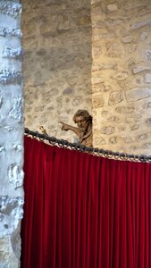 CHPF Nivelles 2017, DSC_0144