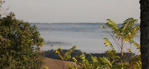 Essai Partage Patrigraphia, Brume4