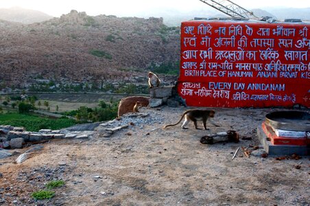 Hampi, 335932_10151011743364770_1361124830_o