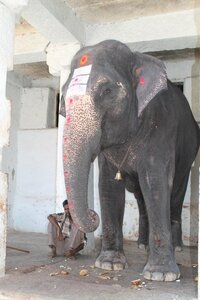 Hampi, 395976_4154141132804_555611797_n