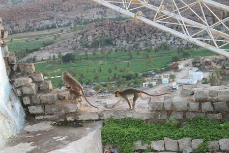 Hampi, 425447_4154178453737_973407236_n