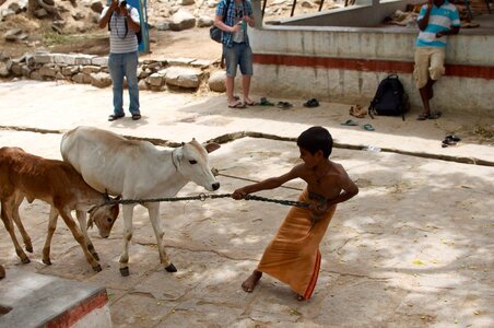 Hampi, 474573_10151011747844770_2126610869_o