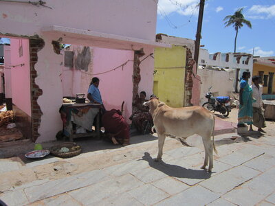 Hampi, IMG_1817